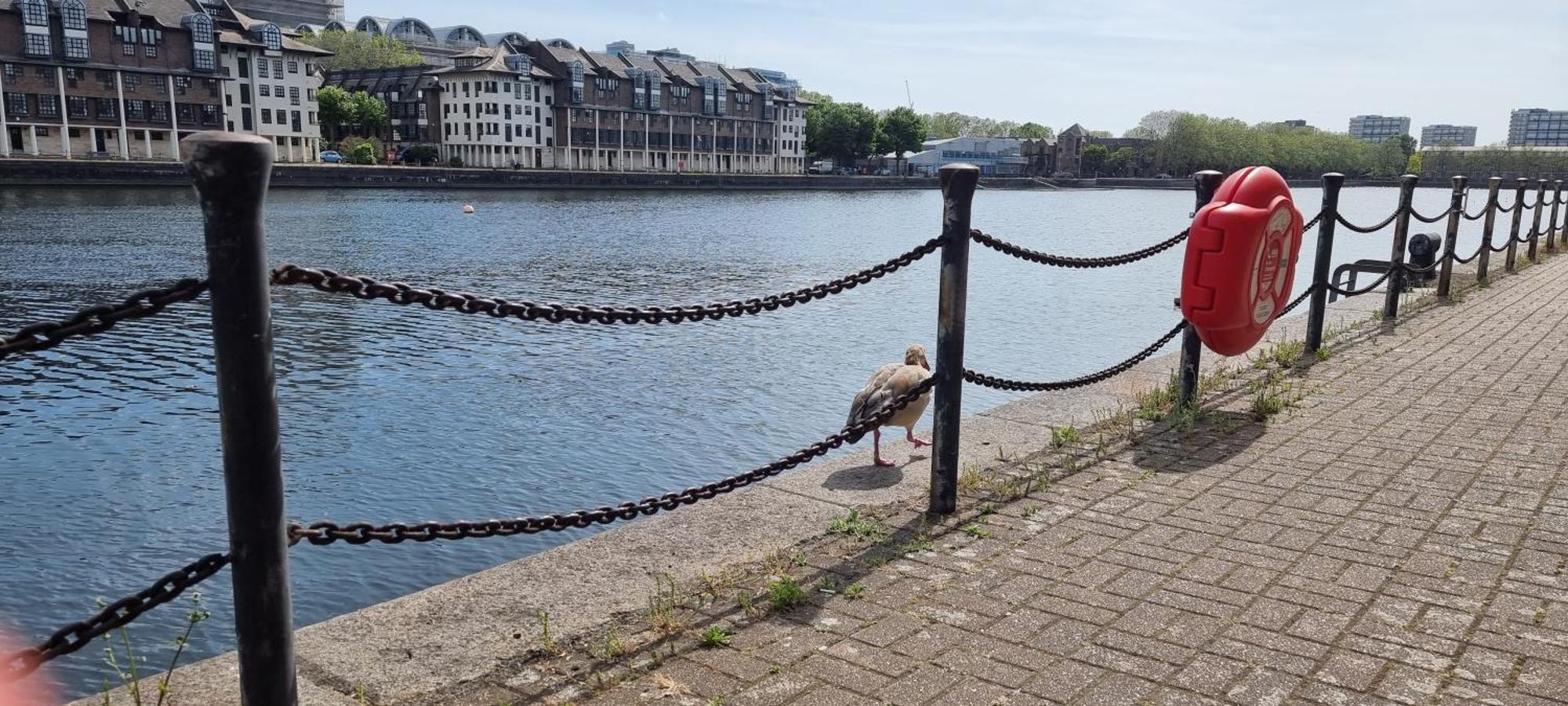 Riverside 3Br With Easy Transport 20Mins To City Centre London Exteriör bild